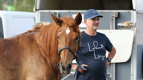 Erkki Tuomaalan huipputamma Lakan Leija ei osallistu perjantain avoimeen tammalähtöön.