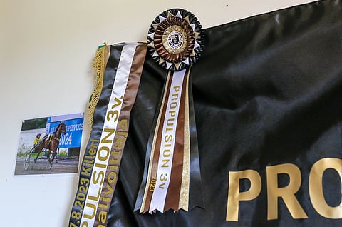 Diamond Combon tänä kesänä kilpailusarjan finaalista voittama loimi ja ruusuke.