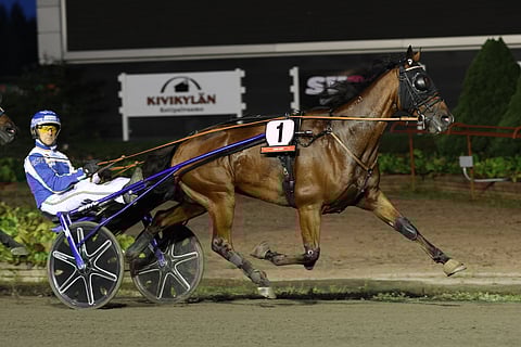 Esa Holopaisen ohjastama Piteraq voitti Porin tiistairaveissa ajetun Sprinter Championin.