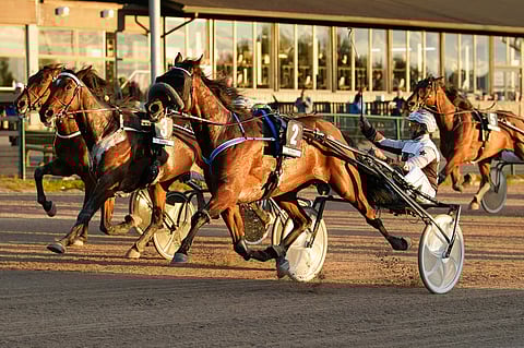 Don Pescador teki Seinäjoella yhden elämänsä parhaista juoksuista.