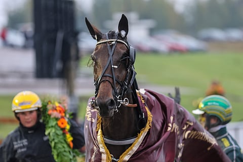 Marier Mili oli Villinmiehen Tammakilvan juhlittu sankari syyskuussa.