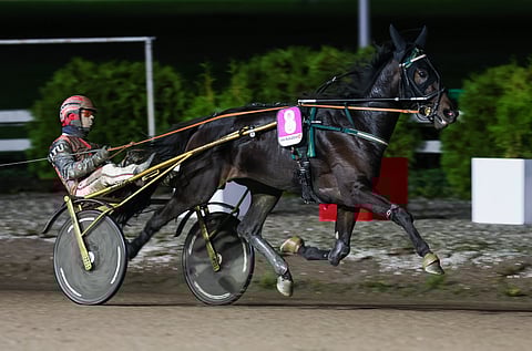MAS Henri on Kymenlaakso-ajon revanssin mielenkiintoisin pelihevonen. Kouvolassa ohjissa on Ari Moilanen, kun kuvassa kyydissä oleva Santtu Raitala ajaa Bishop Vanitya.