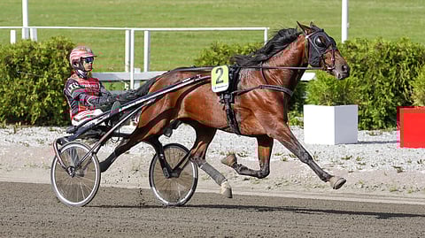 Lightning Striden suoritus Tammakriteriumissa mitätöitiin.