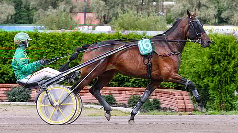 Nemea Icemanilla on tälle kaudelle jo 4 voittoa.