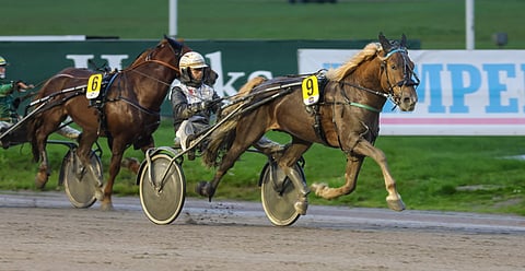 Nopsa Eeliksen kiriruuti oli kuivaa suomenhevosten ensimmäisessä karsinnassa.