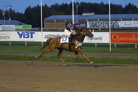 Noora Hirvimäen ohjastama Exaudio Vici otti Oulussa kolmannen peräkkäisen voittonsa.
