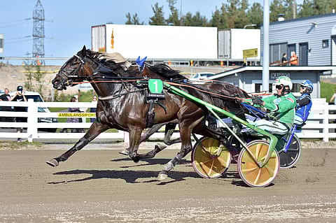 Sahara Dangerous johti nousijadivisioonan finaalin jokaista metriä.
