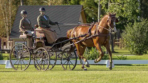 Eveliina Koivula ja Judym Tagendissa.