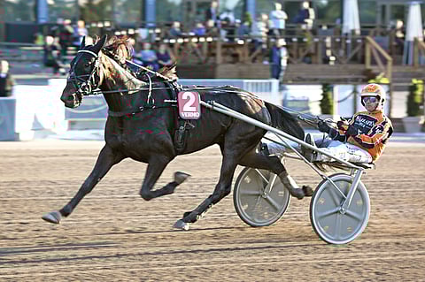 Sahara Commanderia valmentaa Tommi Kylliäinen.