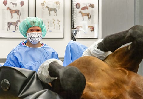 Aitovetin eläinlääkäri Anna Lehto. 