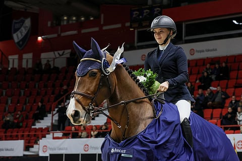 D.Chacco' s Dominator Z on Anni Hjerpen hevonen. 