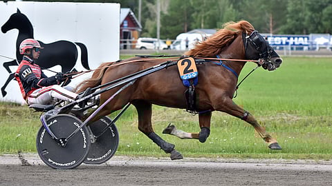 5-vuotias Kungen on illan ideavarma.