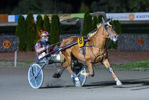 Hissun Feeniks joutui pitkälle sairauslomalle uuden vastoinkäymisen myötä.