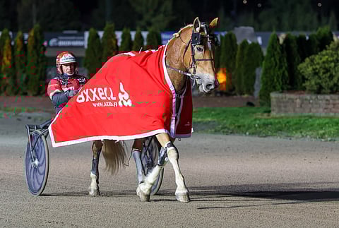 Suven Sametti on Vermon keskiviikon mielenkiintoisimpia nimiä.