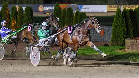 Mandela Zon ja Niko Jokela lähtevät  tänään Seinäjoella takavoltista suljetulta läthtöpaikalla. Valjakko starttaa seuraavan kerran heti lauantaina Lahdessa.