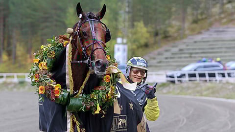 Viime syksynä Kriteriumin voittaneen God Hyperionin omistajatalli on rekisteröity Pohjois-Karjalaan.