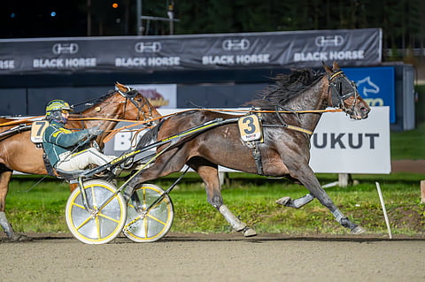 Celeritas Savagen loppuveto kantoi ohi Piece Of Battlen.