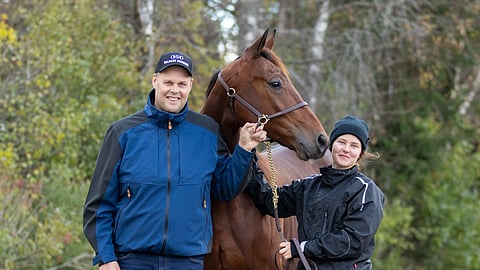 Eloisan God Hyperionin kausi loppuu Kasvattajakruunuun. ”Tämä on niin vilkas kaveri, että se alkaa itse treenata tarhassa, jos sen jättää kokonaan ajamatta, ja siinä voi käydä vahinko”, valmentaja Timo Korvenheimo kertoo. 