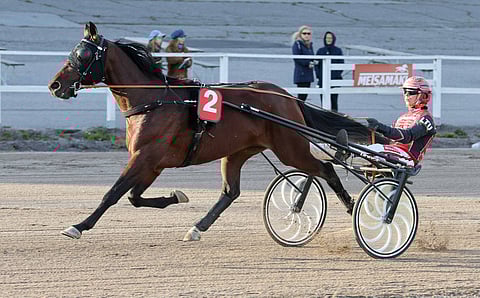 Mr Stahl on kilpaillut urallaan 39 kertaa.