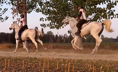 Suomalaisratsukot Italian kisoissa. 