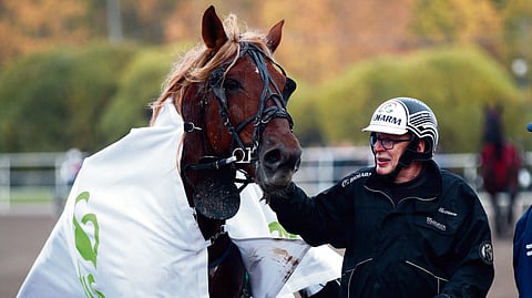 Jouni Miettinen sai Larvan Hurmoksen (kuvassa) sukua talliin.