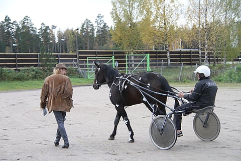 Jyri Hellevuo, Bergelmir ja Matti Riipinen.