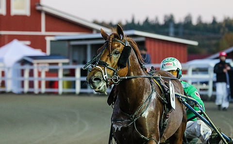 Viime vuoden PM-raveissa V.G. Voitto voitti L. Fabritius Memorialin.
