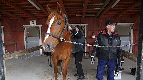 Paavo Hietala kokeilee Neiti Sävelellä maisemanvaihdosta rataolosuhteisiin.