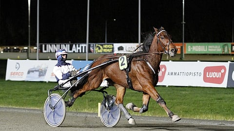 Juniorilähdön veivät nimiinsä 15,7-tuloksen noteerannut Nigel Ale ja Anton Punkka.