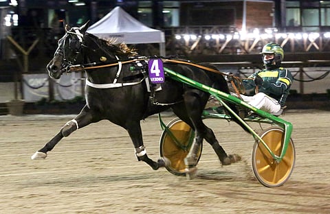 Ranch Whodidwhat on yksi keskiviikon varmavaihtoehdoista.