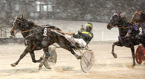 Global Bring it Onia ei nähdä lauantaina Turun Toto75-kierroksella.