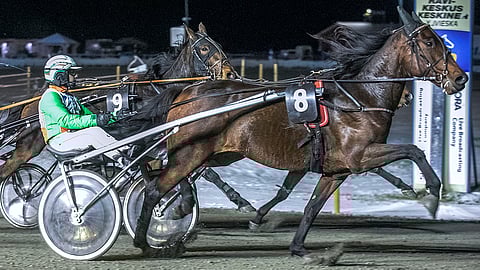 Potter Kähön kiri kantoi Ylivieskassa ykköseksi.