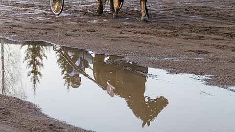 Viikon pääravit ovat joka radalle taloudellisesti tärkeä tuote. Hevosten turvallisuus on kuitenkin etusijalla, kun rataolosuhteita arvioidaan.