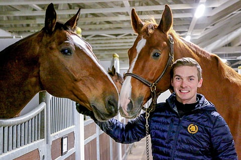 D'Artagnan ja Dublin. 