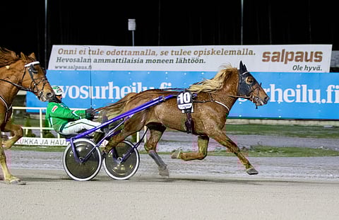 Harlamov piti loppusuoran kamppailussa suosikki Wineton ulkopuolellaan.