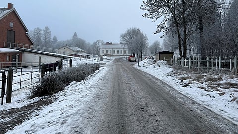Onko täällä todellakin hevoshelvetti, ihmettelee kirjoittaja. 