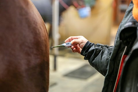Lämmön mittaaminen päivittäin on hyvä rutiini viruksia vastaan taistellessa.