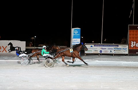 Kaustisen tapaninpäivän raveissa neljä voittoa ajanut Niko Jokela kiidätti Ditchback Dicen ykköseksi ohi Elena K.J:n.