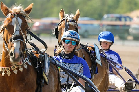 Ohjastajana Mats Havulehto on saavuttanut kolme voittoa ja seitsemäntoista muuta totosijaa.