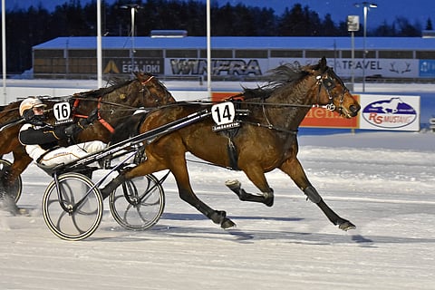 Tuukka Varis ohjasti Power Swirlillä viime joulukuussa Toto75-voiton.