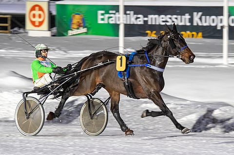 Ville Pohjola narutteli Forever Melonia taiten.