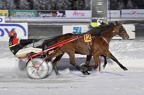 Global Beware (12) vei nimiinsä hopeadivisioonan finaalin.