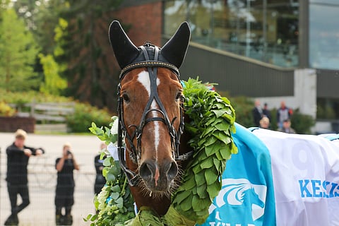 Wertti oli Derbyn sankari ja sitä myötä myös rankingin ykkösnimi.