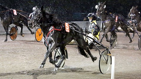 Take Care on illan ideahevosia.