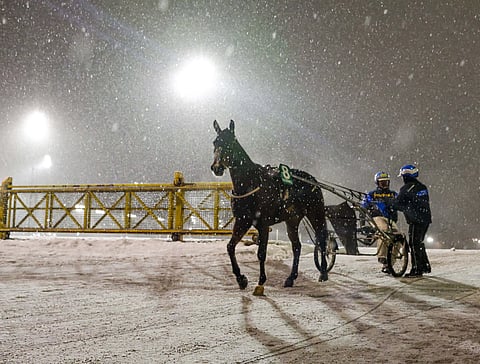 Vermon viime keskiviikon sää ei ollut kuin morsian, mutta ravipäivä vedettiin läpi kuin häissä tanssien.