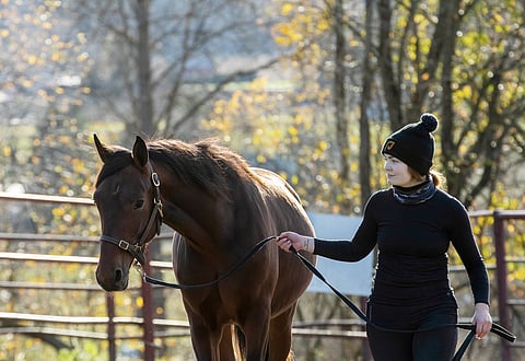 Staro Ramrod on vielä keskentekoinen. Etta Pakkanen esittää.