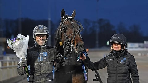 Edibear ja Perssonit.