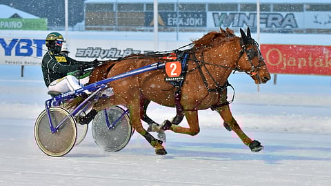 Kulkiessaan ravia, Vireveri todennäköisesti pärjää.