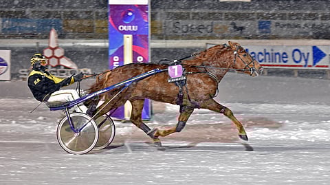 Vauhtis on vauhdissa. Ruuna voitti viime vuoden yhdeksästä startistaan seitsemän. Voittokulku todennäköisesti jatkuu tänäään Kuopiossa.