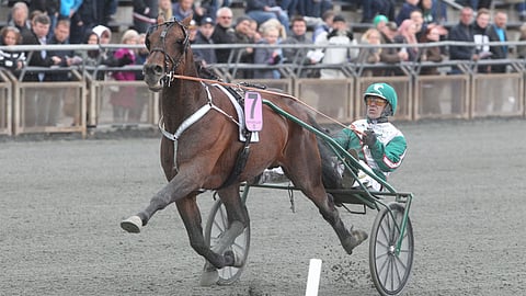 Maharajah on tällä hetkellä Pohjolan kiistaton ykkösori.